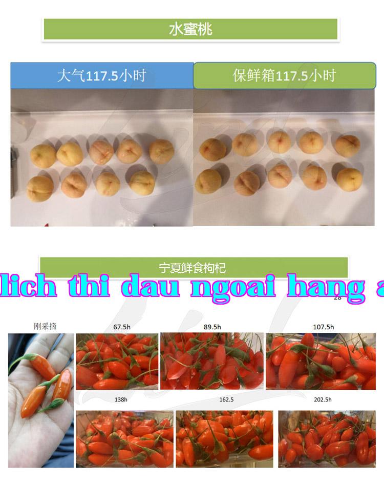 Chi tiết công nghệ đóng gói bảo quản rau quả tươi tự điều chỉnh của Lendem thay bằng_04.jpg