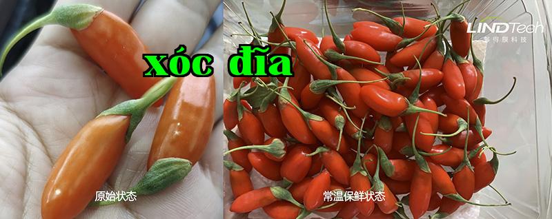 [Bảo quản ở nhiệt độ thường] Xem cách bảo quản kỷ tử tươi kéo dài từ 0,8 ngày lên 3 ngày như thế nào
