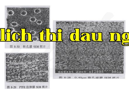 Giới thiệu về màng lõi hạt nhân