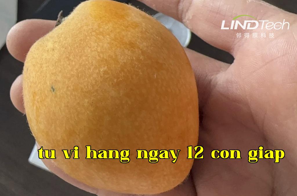 Giải pháp bảo quản vật lý thường nhiệt bằng cách điều chỉnh không khí tự nhiên với màng nhân tạo lỗ nhân tế bào