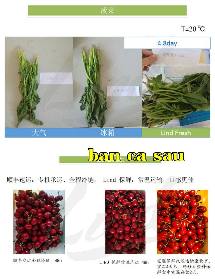 Chi tiết công nghệ đóng gói bảo quản rau quả tươi tự điều chỉnh của Lendem thay bằng_03.jpg