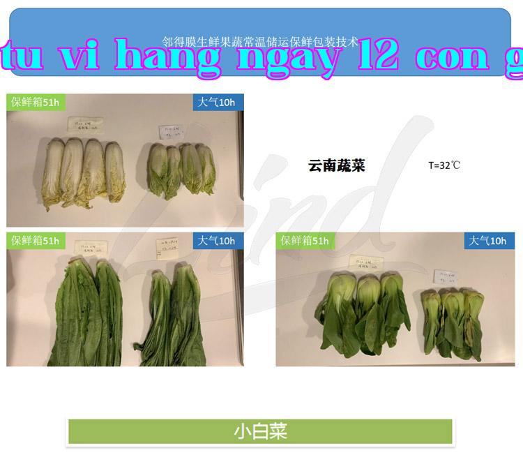 Chi tiết công nghệ đóng gói bảo quản rau quả tươi tự điều chỉnh của Lendem thay bằng_01.jpg