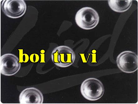 Đặc điểm của màng vi lỗ ion nặng là gì?