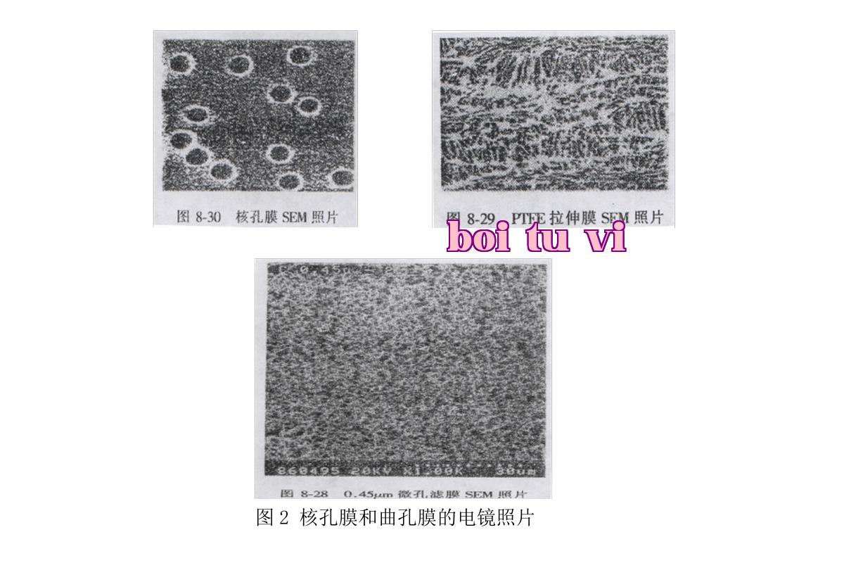Ảnh chụp màn hình WeChat_20250430173512.jpg