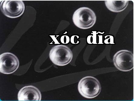 Hệ thống truy xuất chất lượng sản phẩm được xây dựng như thế nào?