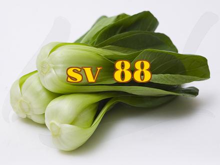 Công nghệ đóng gói tự điều chỉnh khí bảo quản sản phẩm tươi sống và rau quả của Lân Đắc