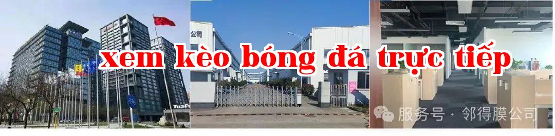 Vương Ngọc Lan - Màng lỗ hạt nhân