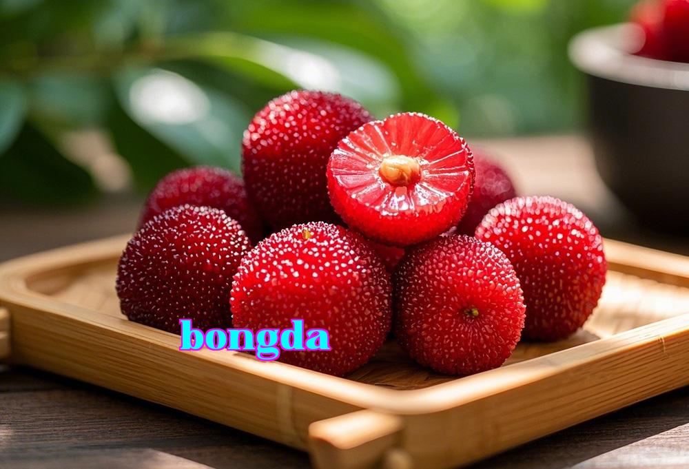 Công nghệ bảo quản trái cây bằng màng lỗ nhân: Từ nguyên lý đến ứng dụng:
