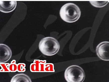 Phân tích nguyên lý và đặc tính của màng vi lỗ ion nặng